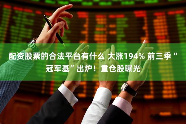 配资股票的合法平台有什么 大涨194% 前三季“冠军基”出炉！重仓股曝光