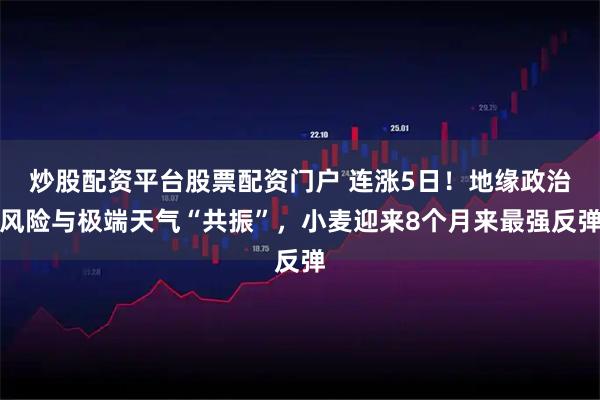 炒股配资平台股票配资门户 连涨5日！地缘政治风险与极端天气“共振”，小麦迎来8个月来最强反弹