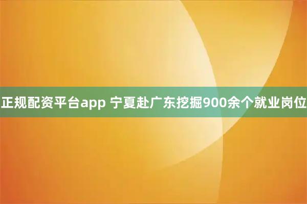 正规配资平台app 宁夏赴广东挖掘900余个就业岗位