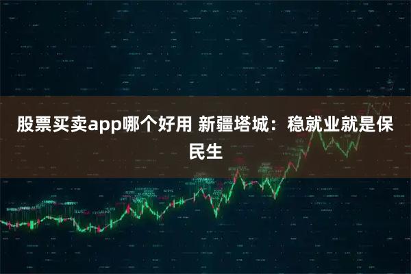 股票买卖app哪个好用 新疆塔城：稳就业就是保民生