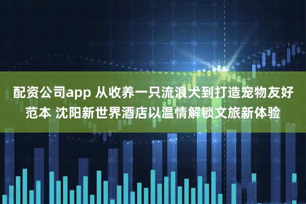 配资公司app 从收养一只流浪犬到打造宠物友好范本 沈阳新世界酒店以温情解锁文旅新体验